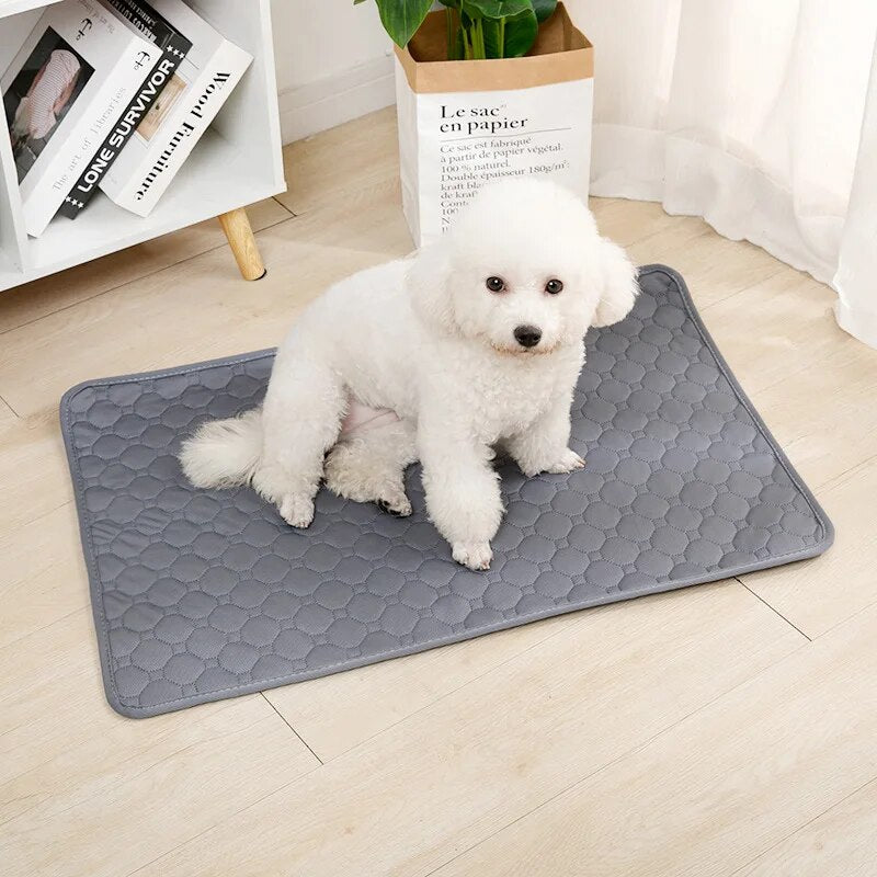 Reusable Absorbent Dog Pee Pad, Puppy Training Pad Pet