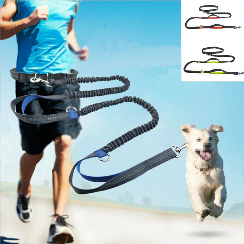 Hands Free Dog Leash