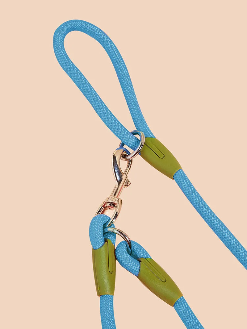 Hands Free Reflective Nylon Dog Leash