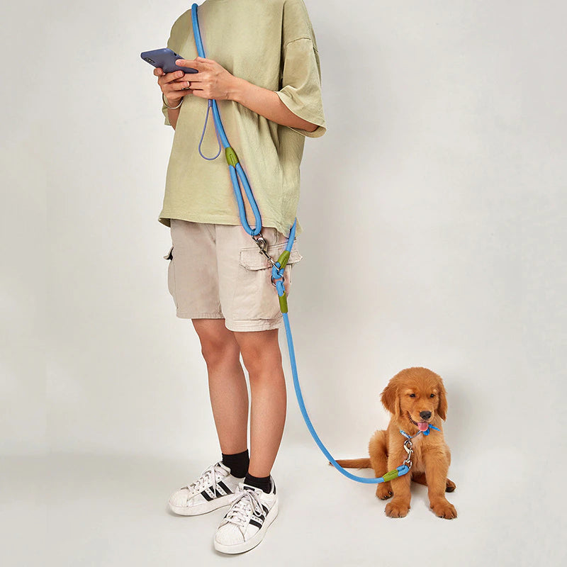 Hands Free Reflective Nylon Dog Leash