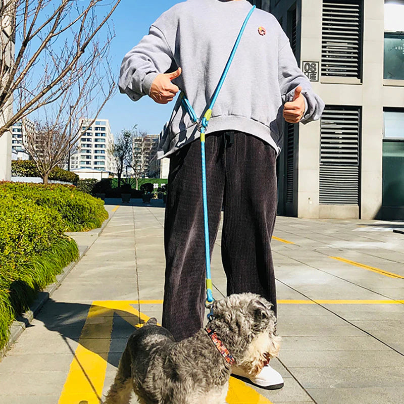 Hands Free Reflective Nylon Dog Leash