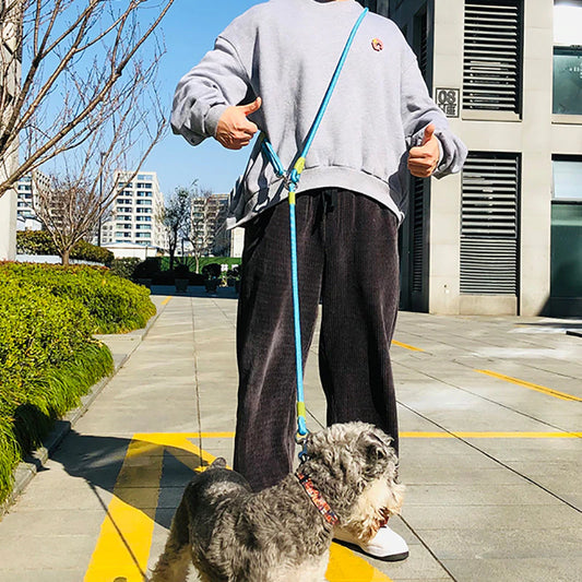 Hands Free Reflective Nylon Dog Leash