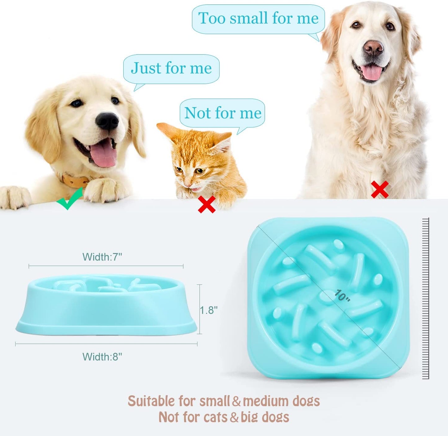 Slow Feeder Dog Bowl