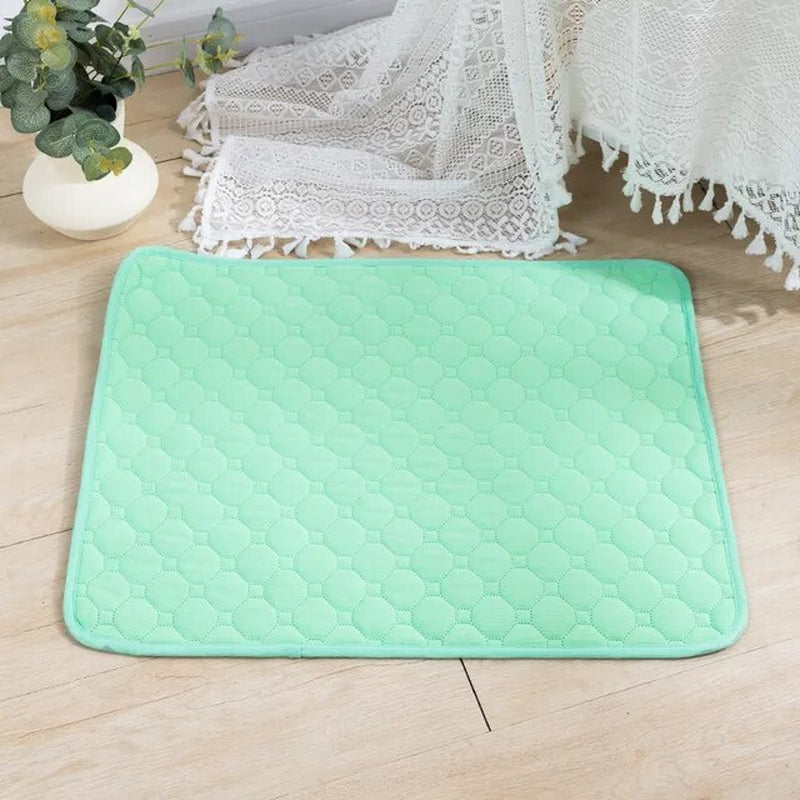 Reusable Absorbent Dog Pee Pad, Puppy Training Pad Pet