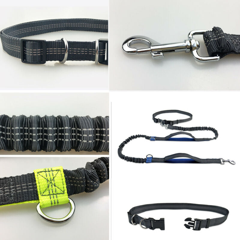 Hands Free Dog Leash