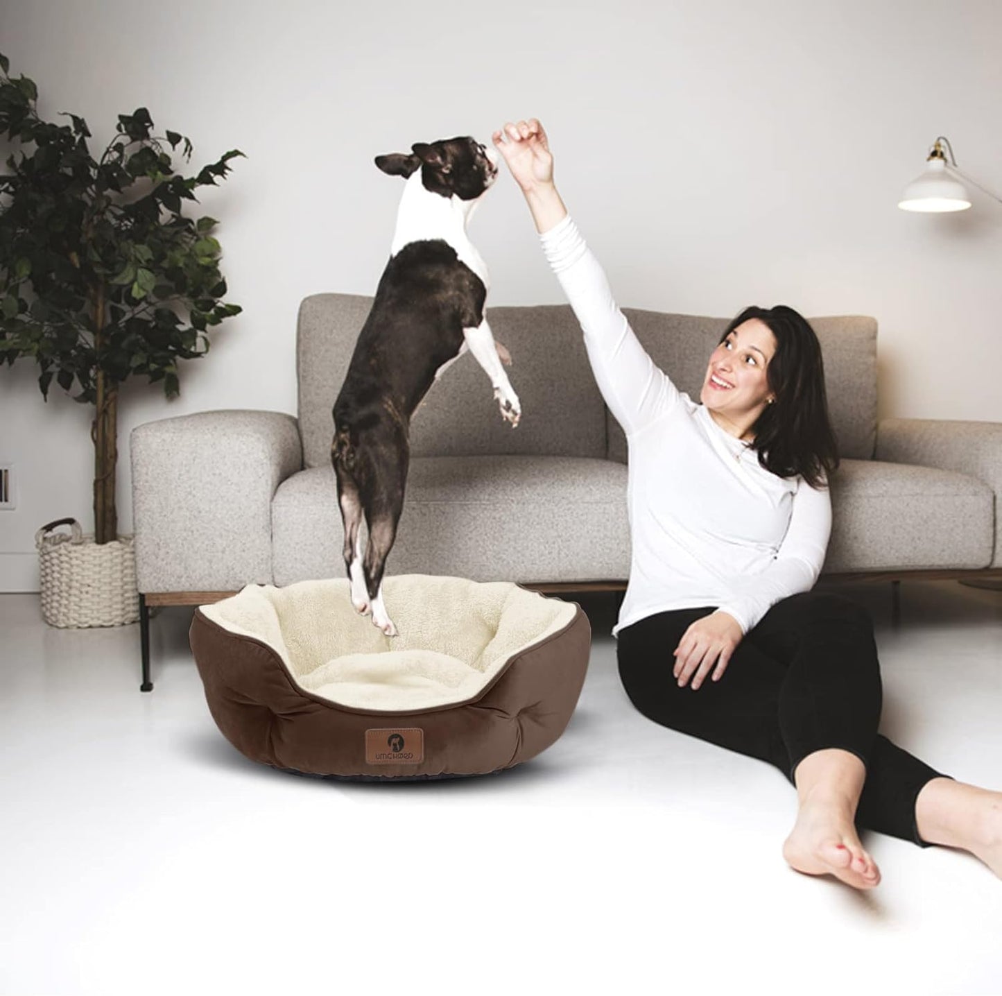 Cozy Pet Bed for Small Dogs and Cats - Soft, Washable, and Anti-Slip