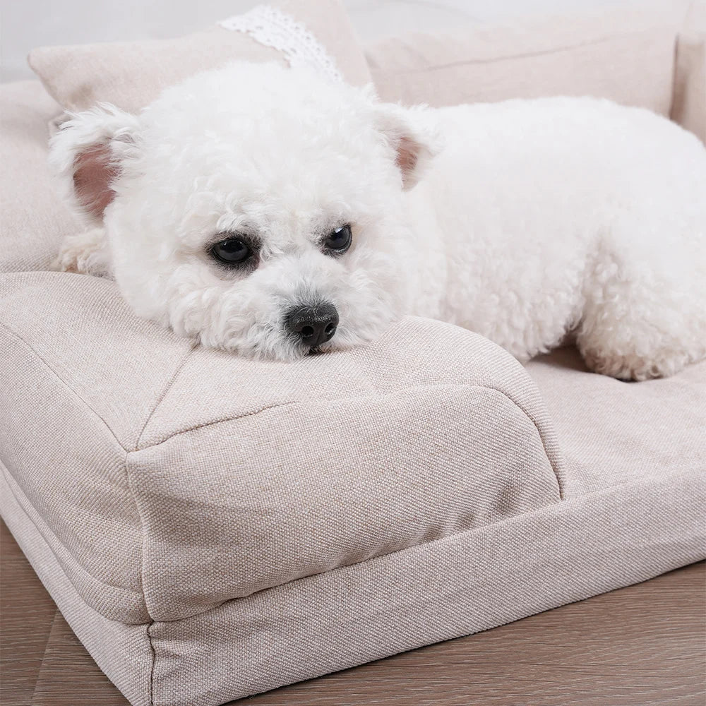 Dog Sofa