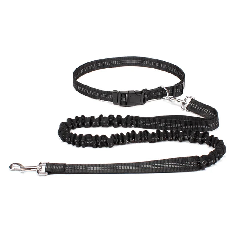 Hand Free Dog Leash for Walking Running Jogging - Adjustable Waist Belt and Chest Strap