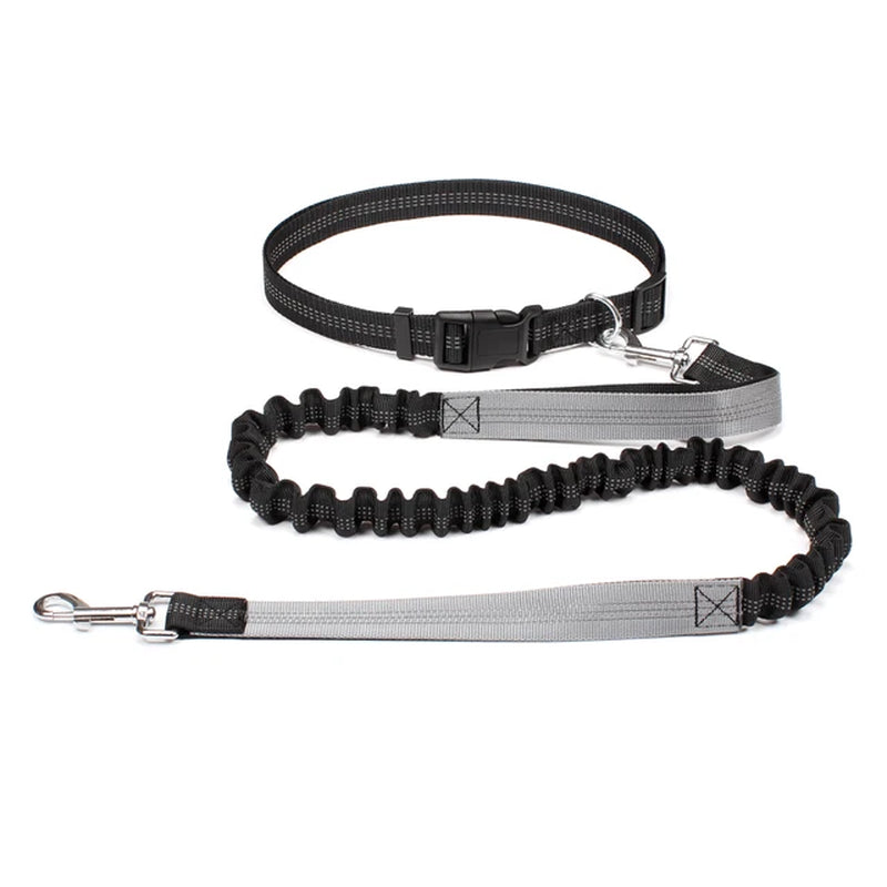 Hand Free Dog Leash for Walking Running Jogging - Adjustable Waist Belt and Chest Strap