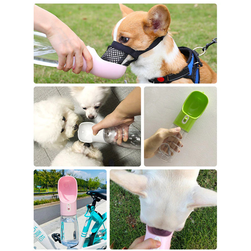 Outdoor Travel Dog Bowl and Water Bottle