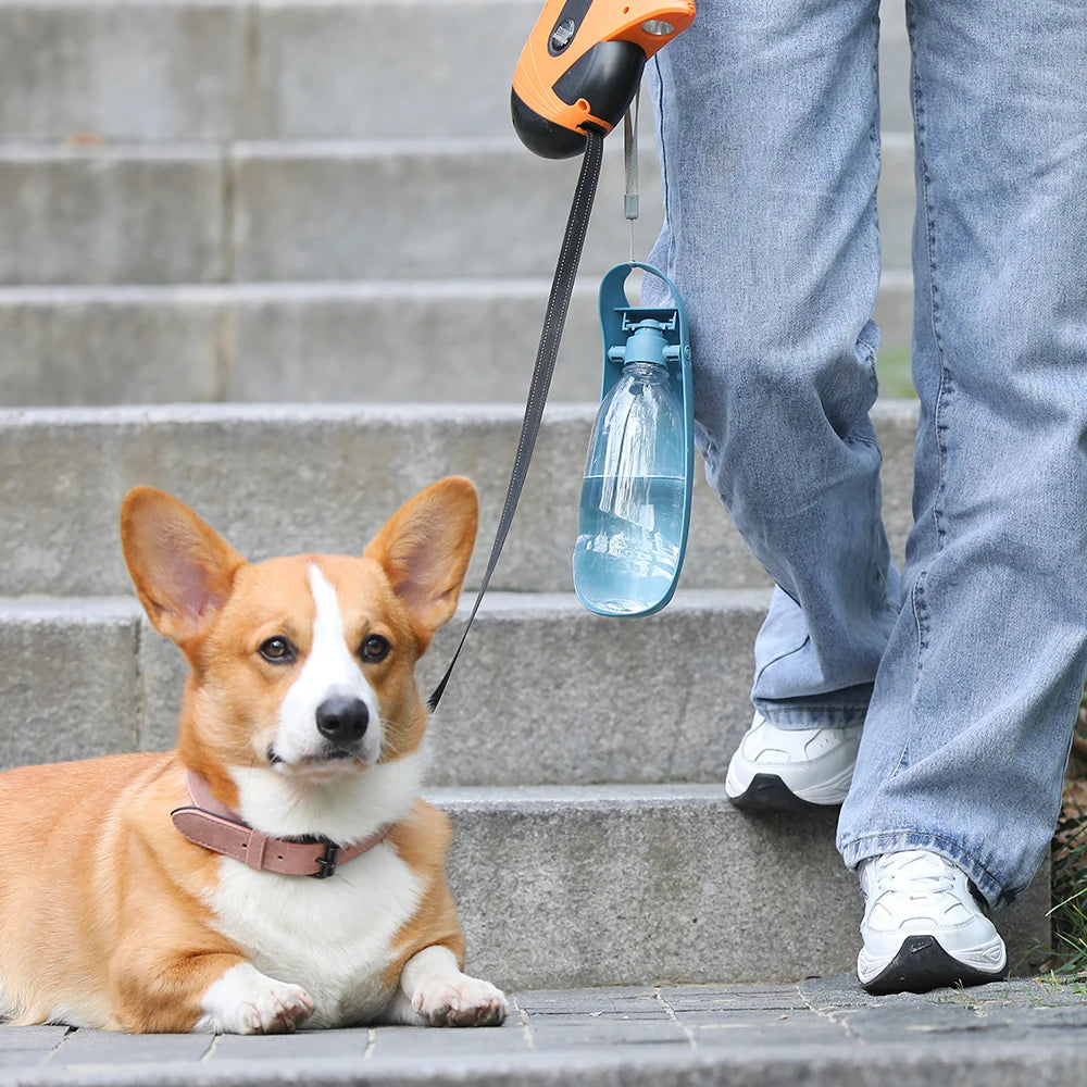 Portable Folding Pet Water Bottle