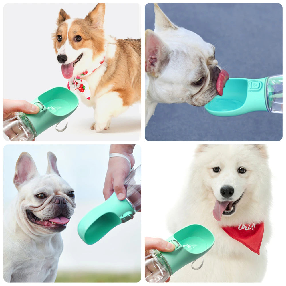 Portable Dog Water Bottle for Small or Large Dogs 