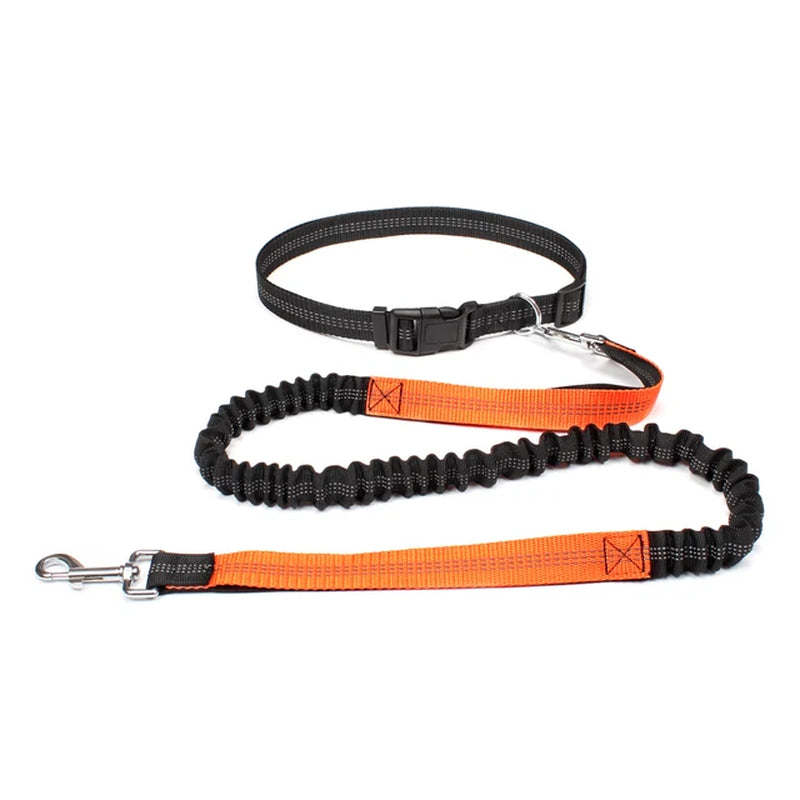 Hand Free Dog Leash for Walking Running Jogging - Adjustable Waist Belt and Chest Strap