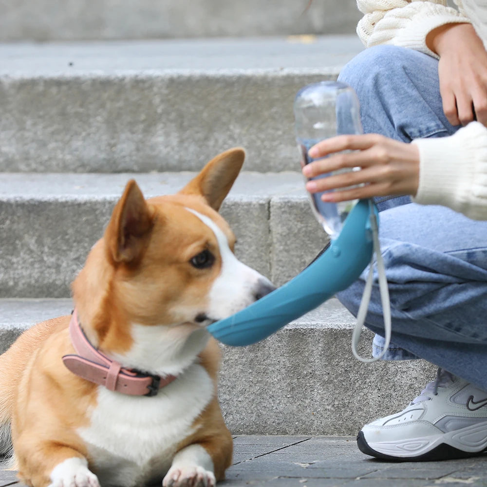 Portable Folding Pet Water Bottle