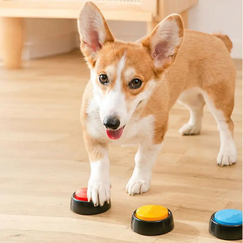 Recordable Personalized Sound Buzzer Button Talking Dog Training Toy