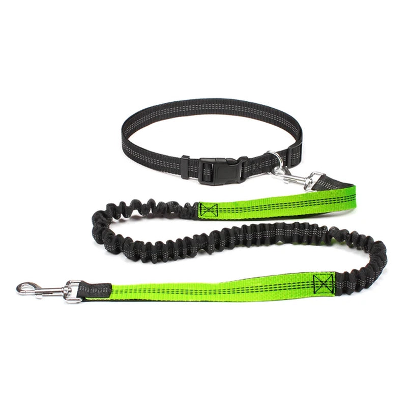 Hand Free Dog Leash for Walking Running Jogging - Adjustable Waist Belt and Chest Strap