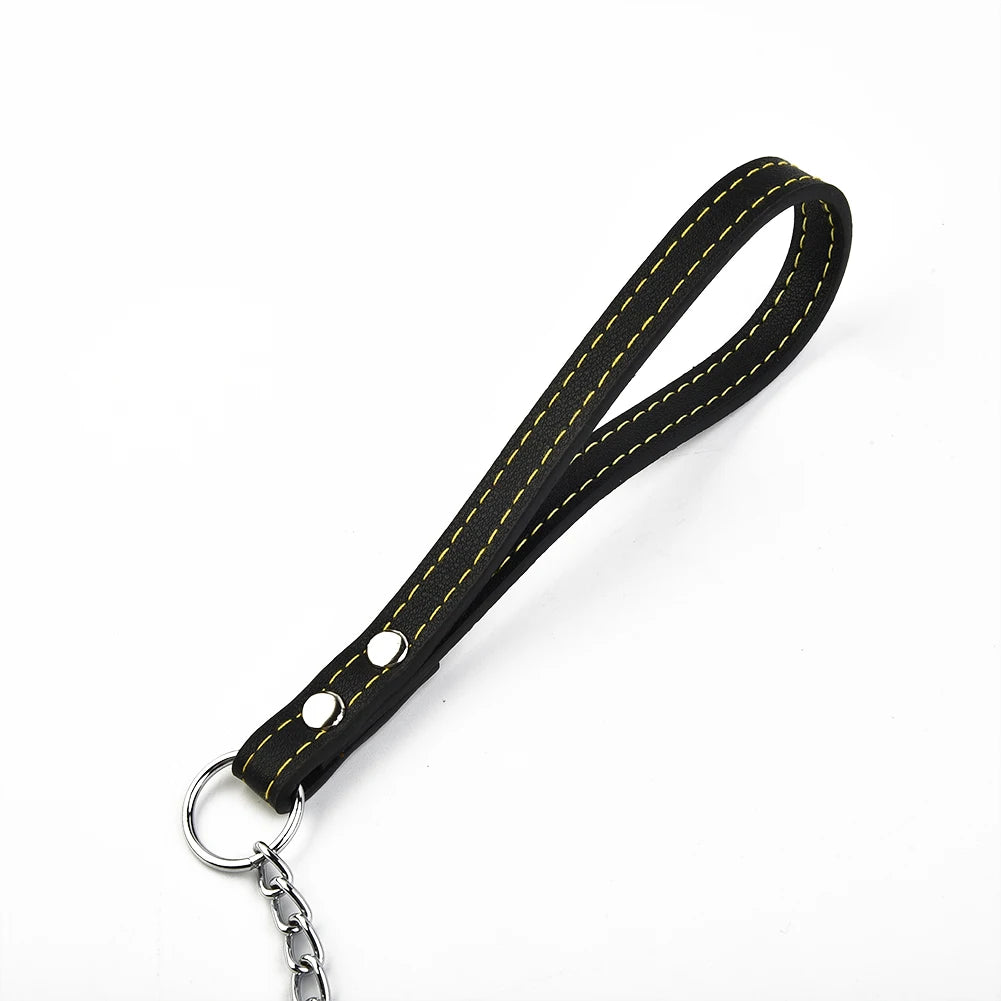 Metal Chain Dog Lead with Leather Dog Harness 