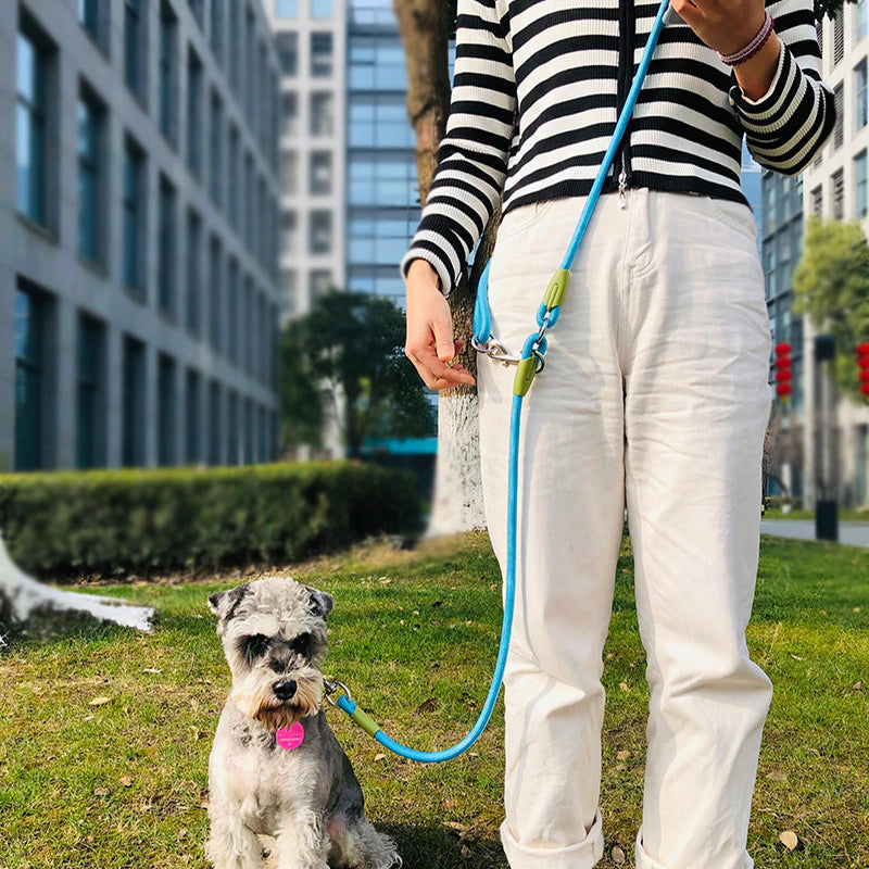  Hands Free Reflective Nylon Dog Leash