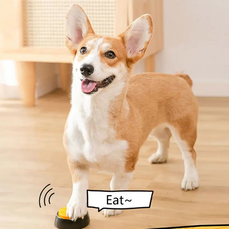 Recordable Personalized Sound Buzzer Button Talking Dog Training Toy